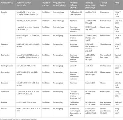 The potential anti-tumor effect of anesthetics on cancer by regulating autophagy